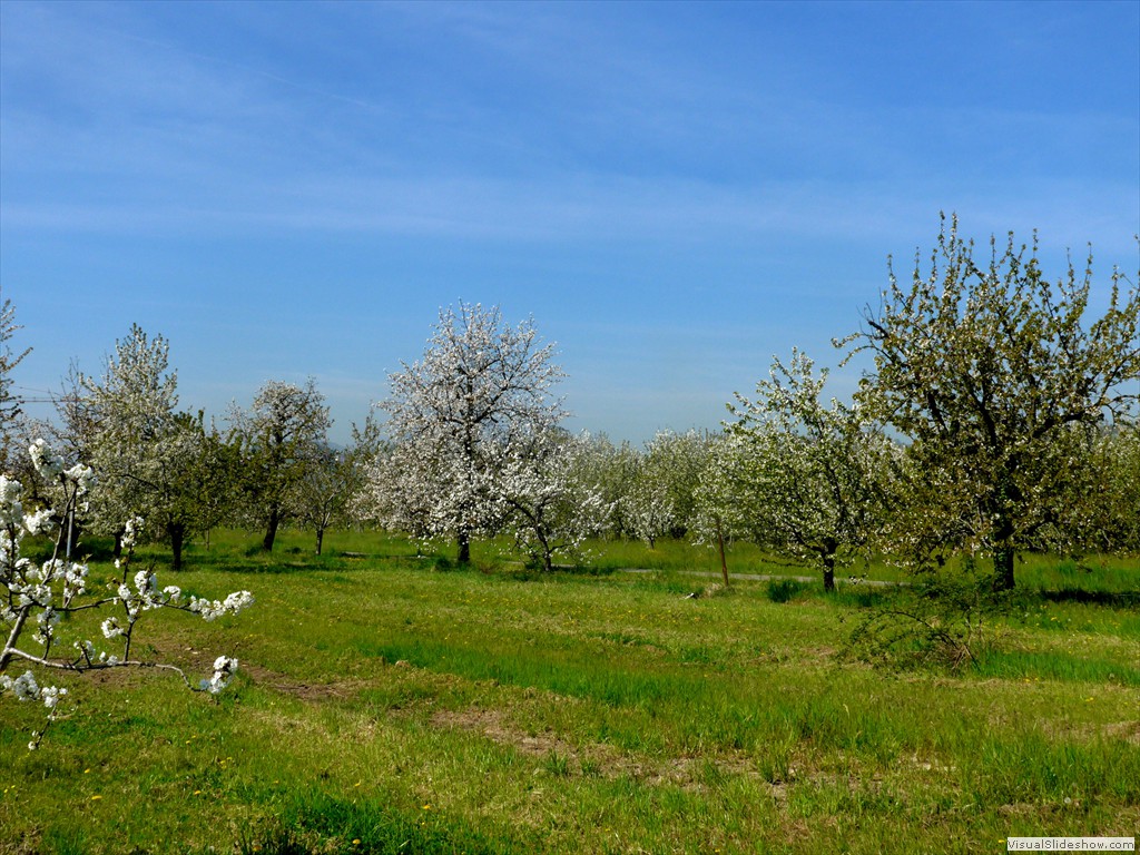 P1040365