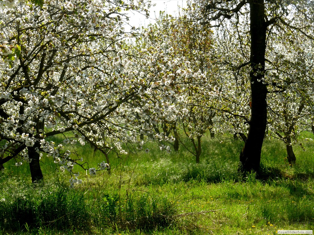 P1040368