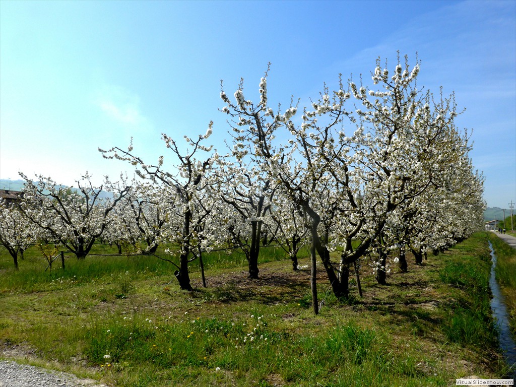 P1040370