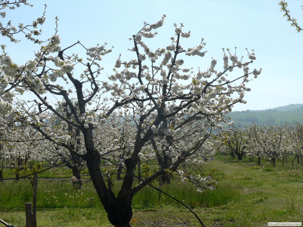 P1040375