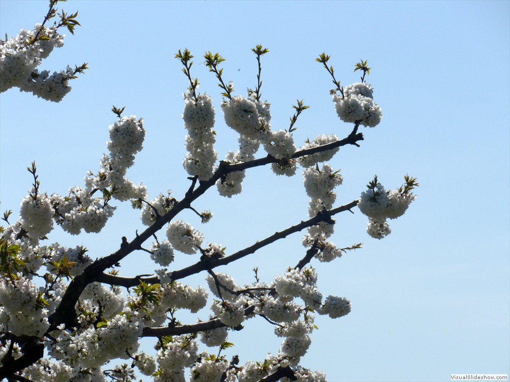 P1040376