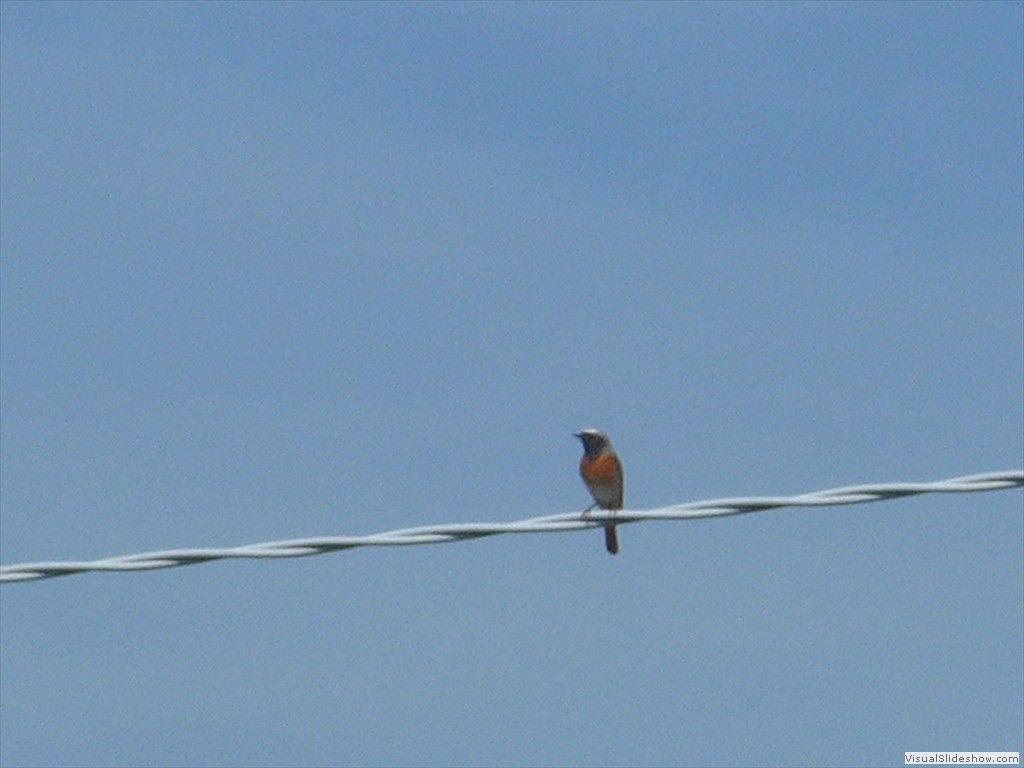 P1040377