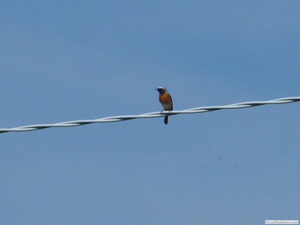 P1040378