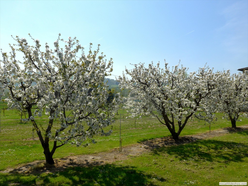 P1040393