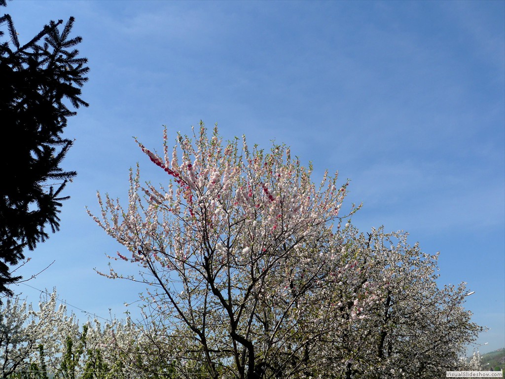 P1040402