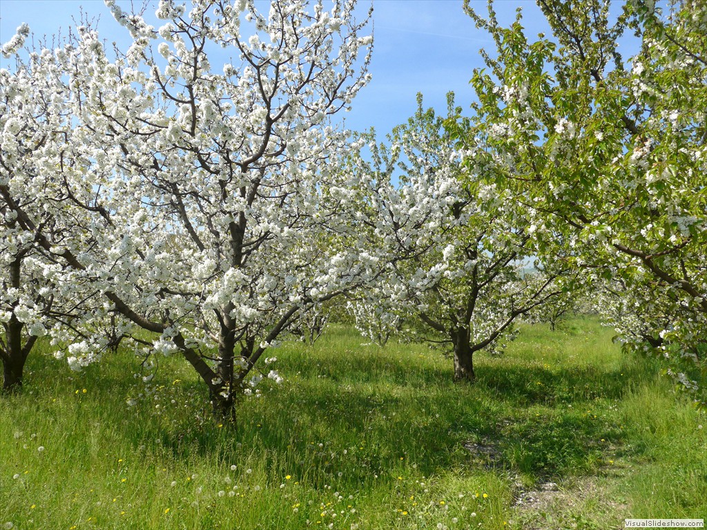 P1040410