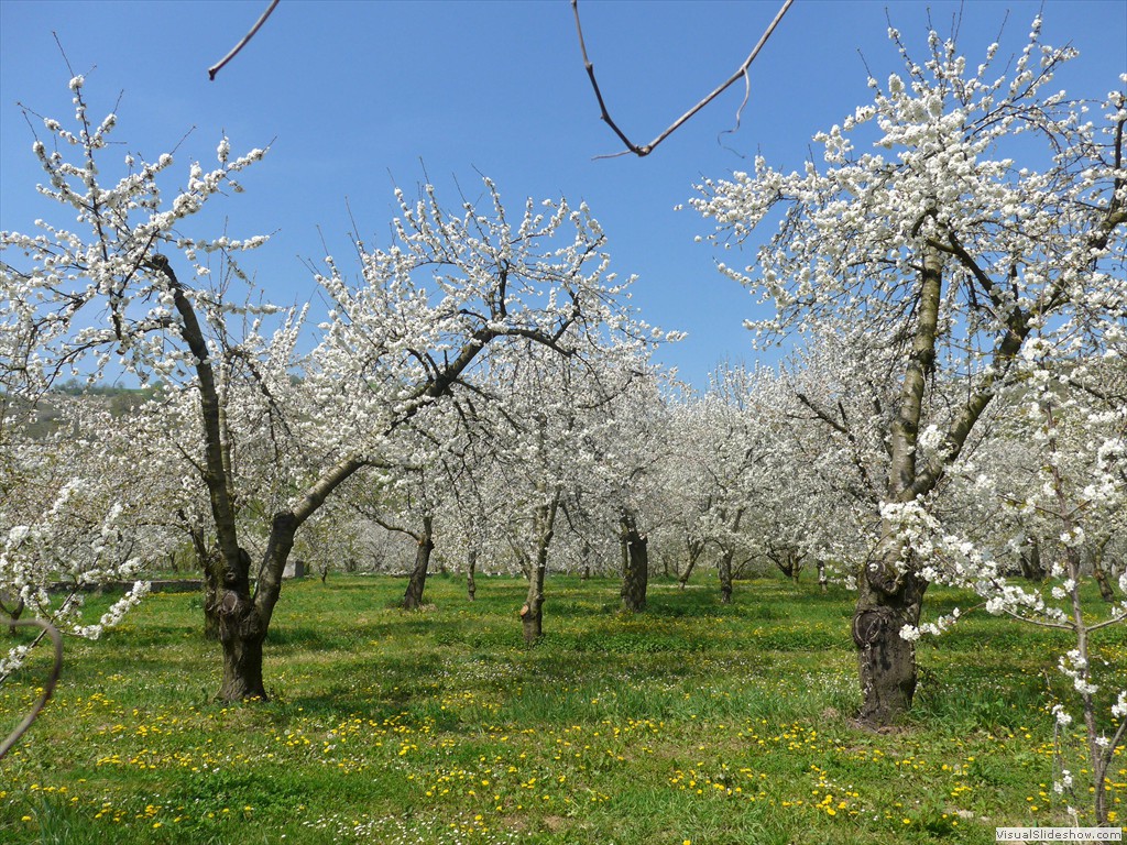 P1040434