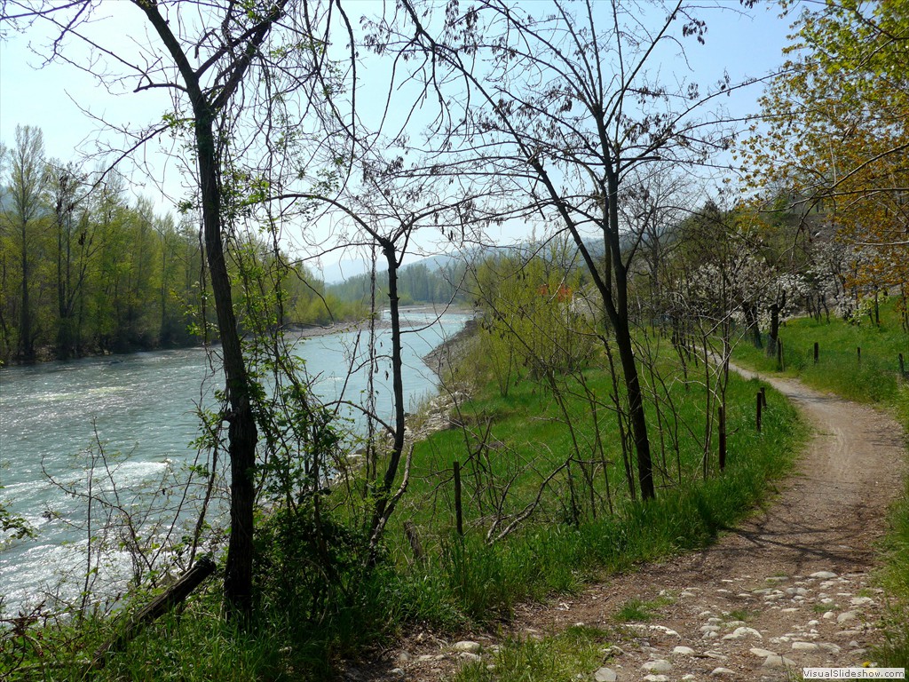 P1040445