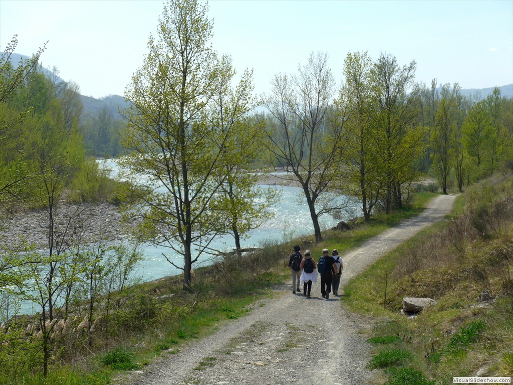 P1040446