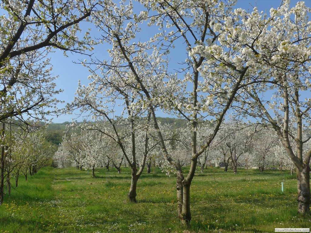 P1040468