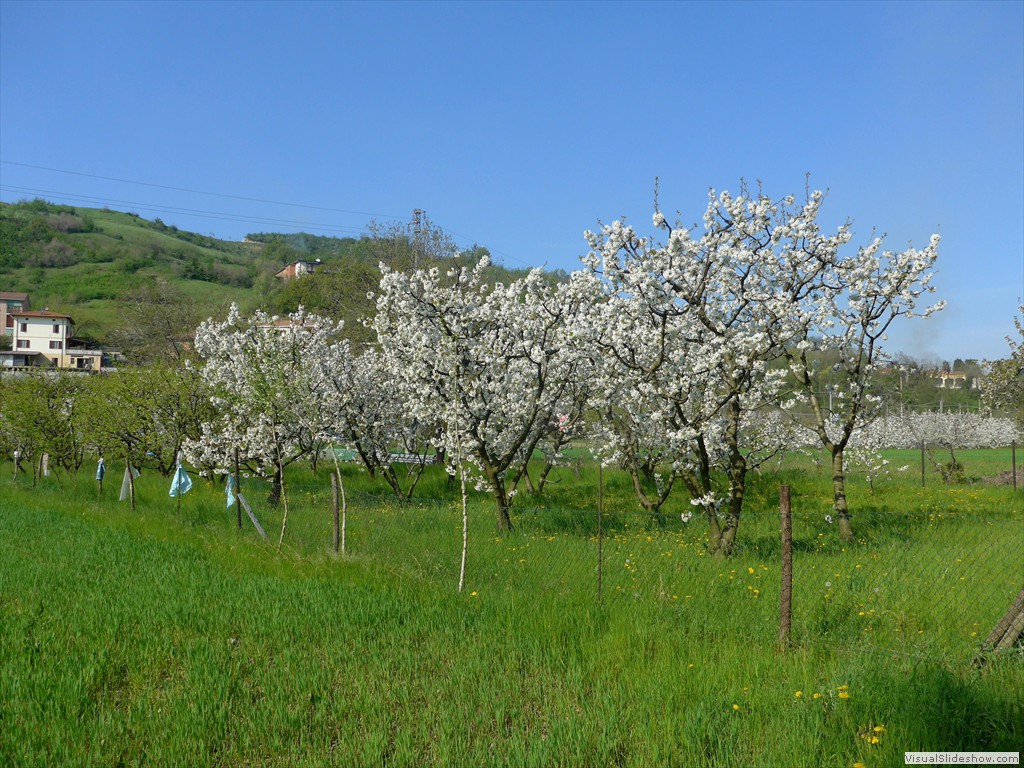 P1040472