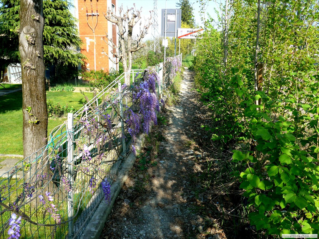 P1040474