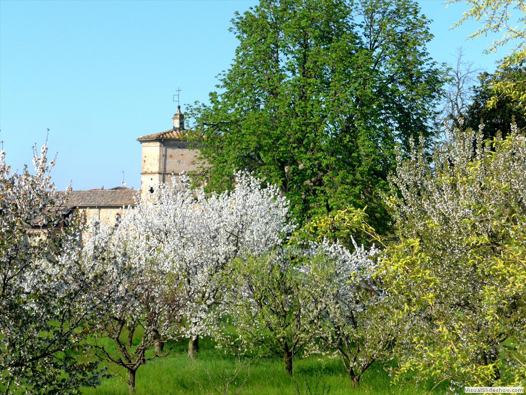 P1040476