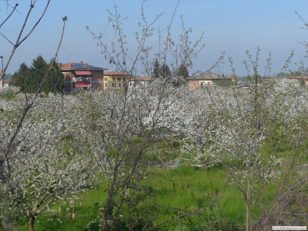 P1040477