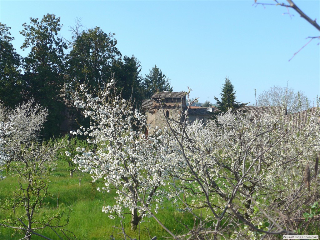 P1040479