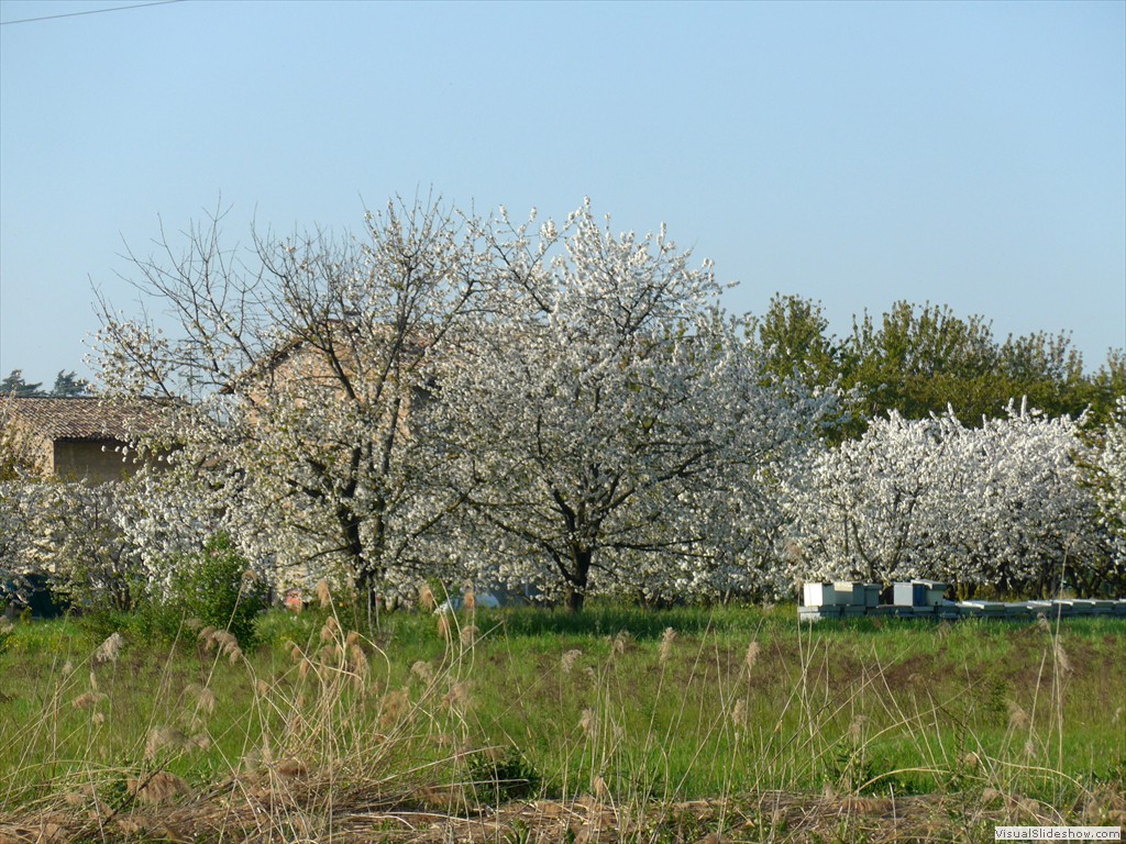 P1040487