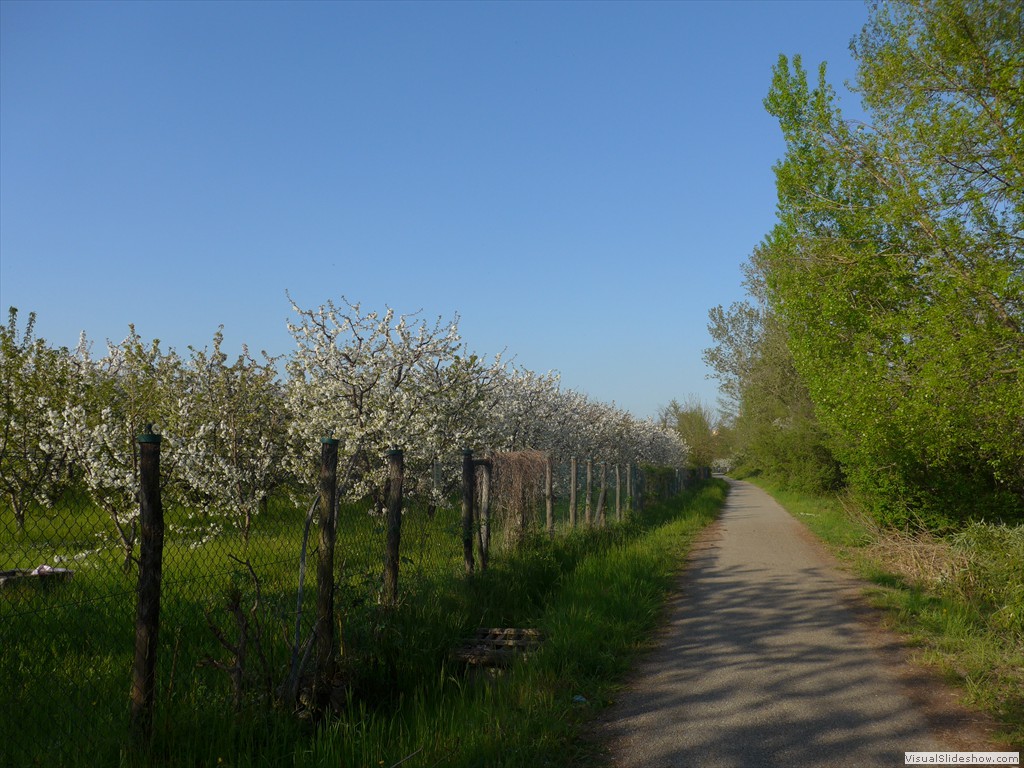 P1040491