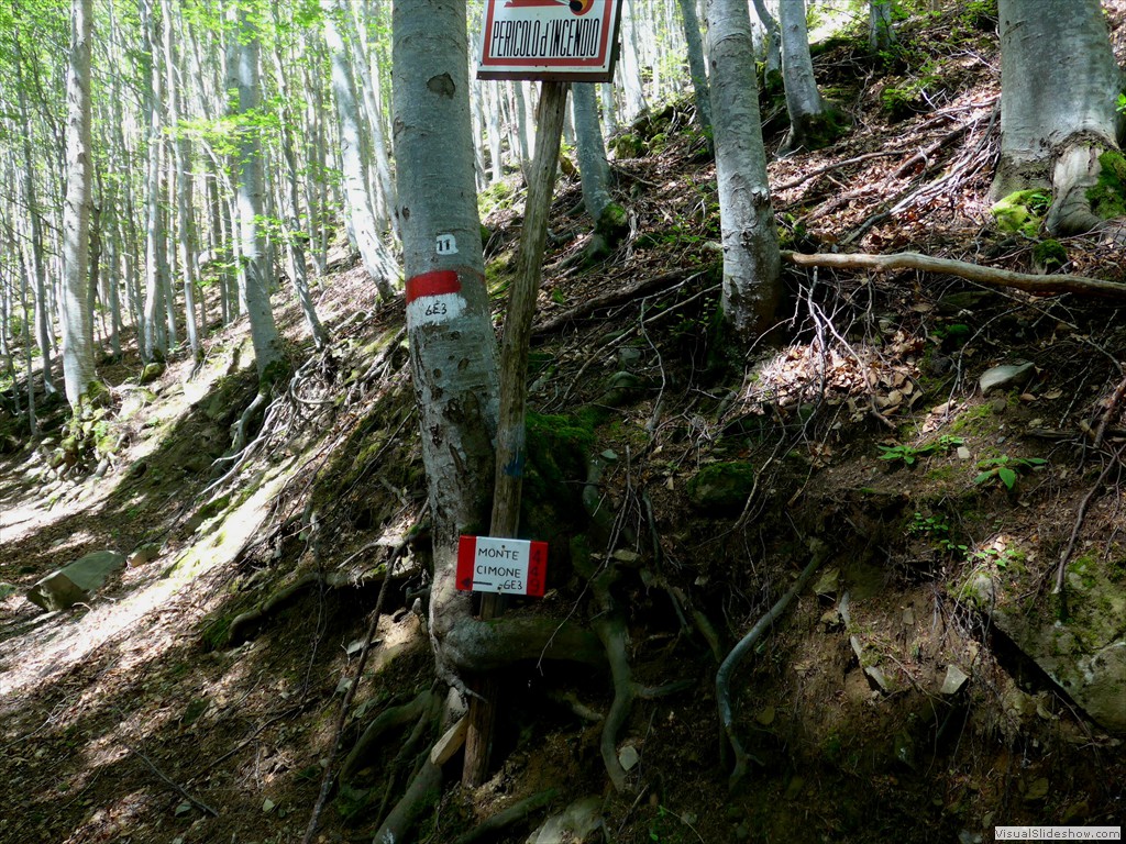 P1130592