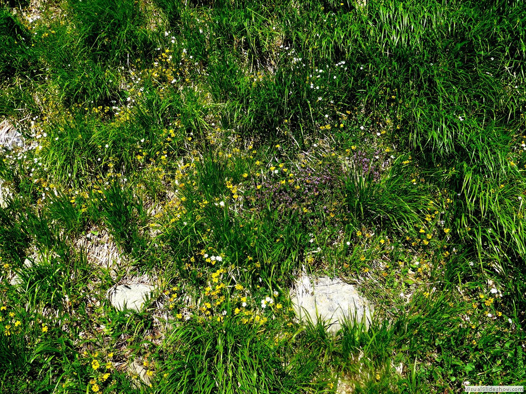 P1130597