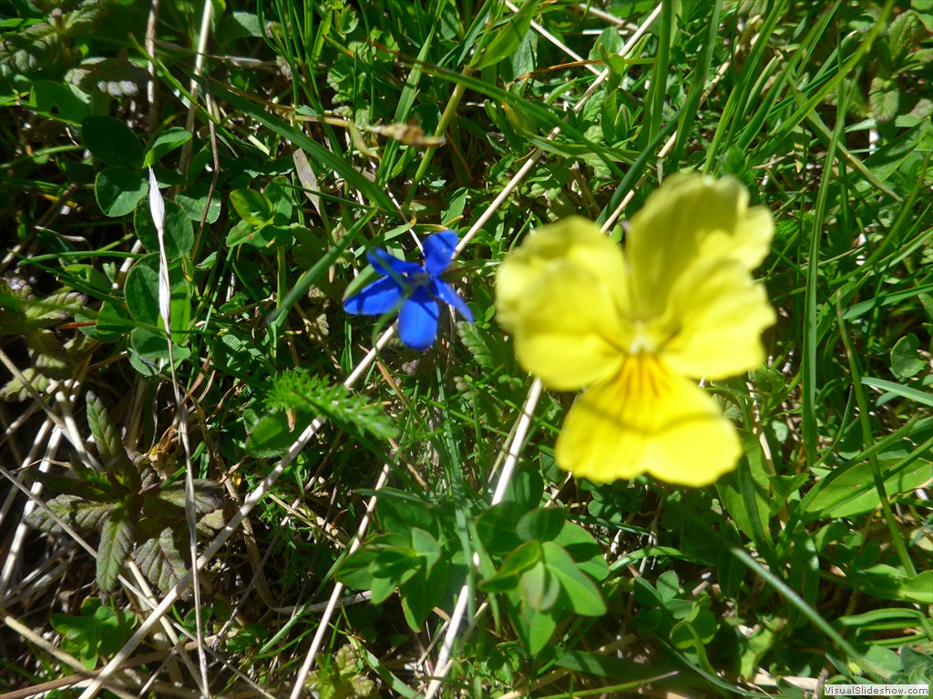 P1130600