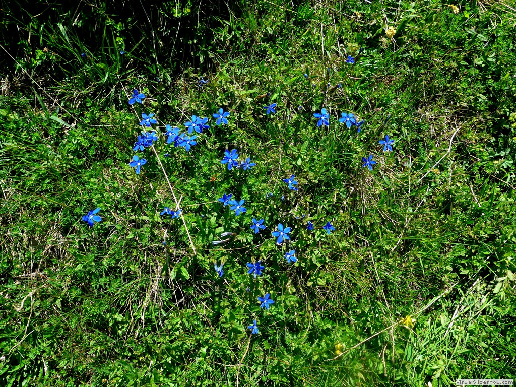 P1130619
