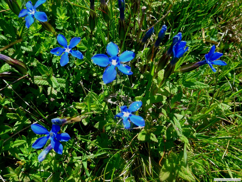 P1130620