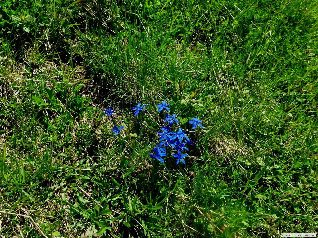 P1130622