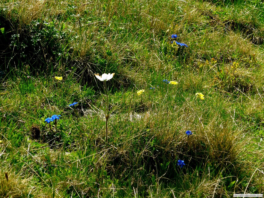 P1130633