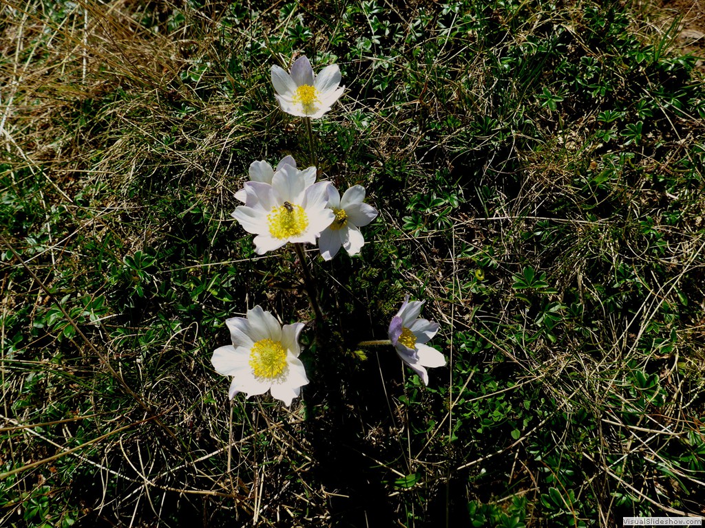 P1130639