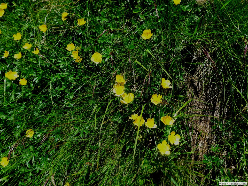 P1130643
