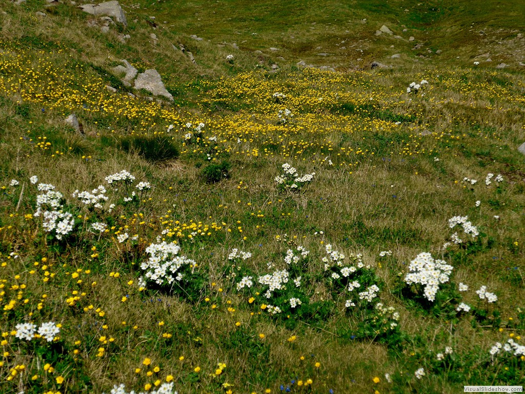 P1130652