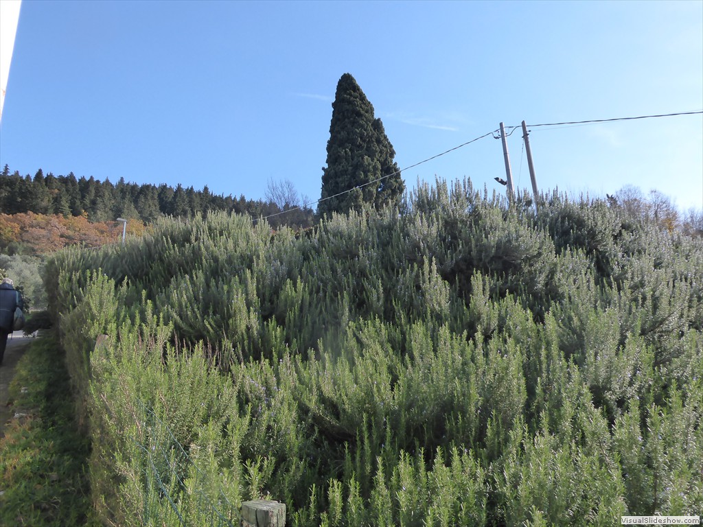 P1020435