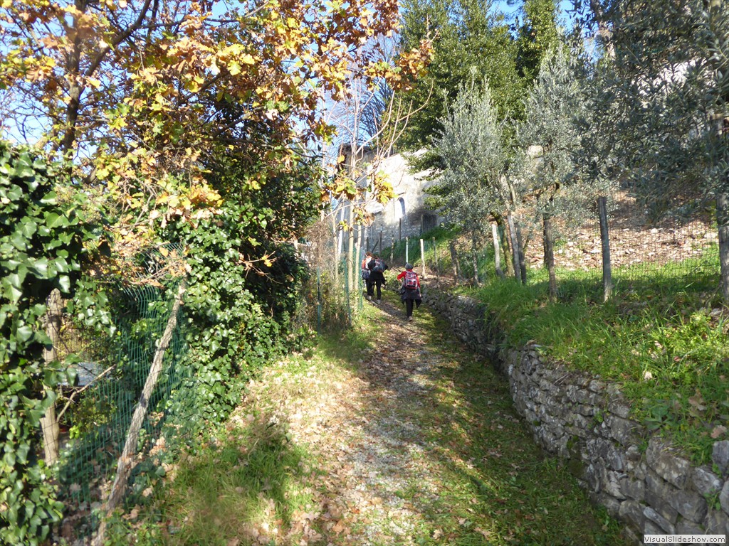 P1020439