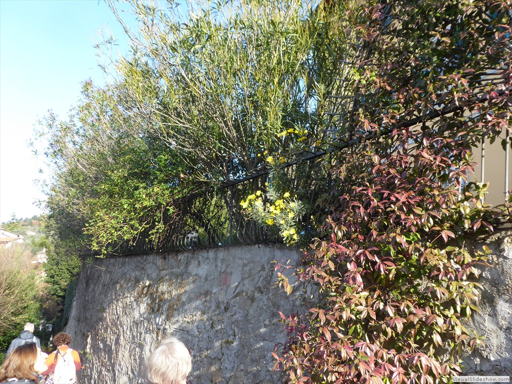 P1020440
