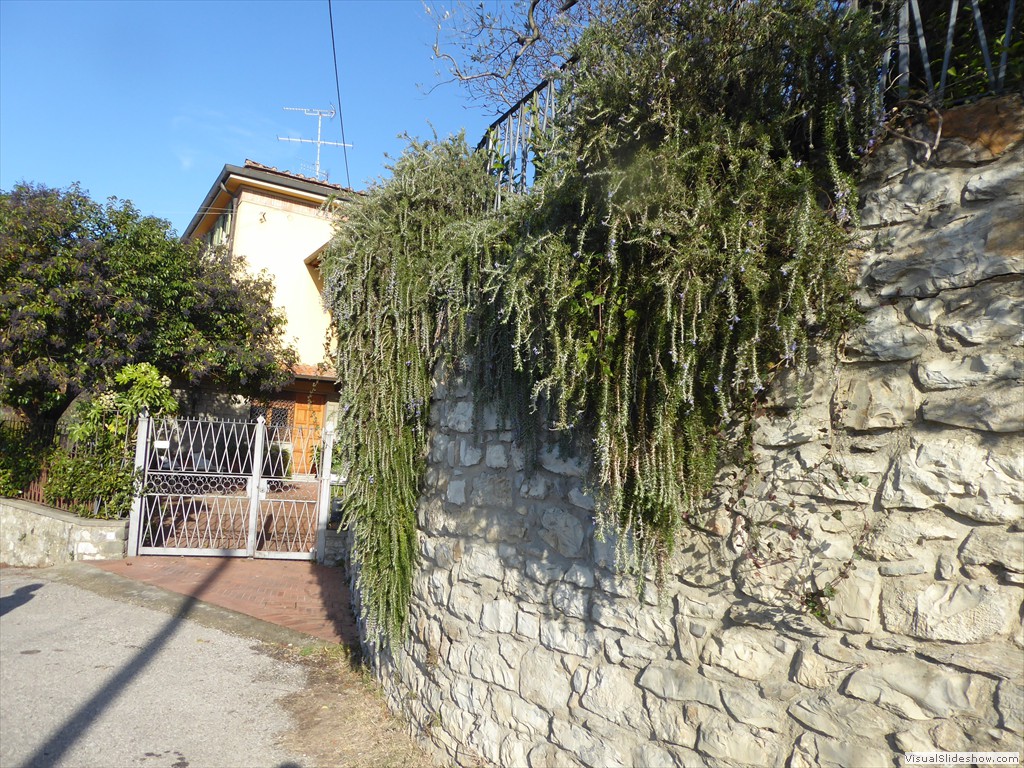 P1020447