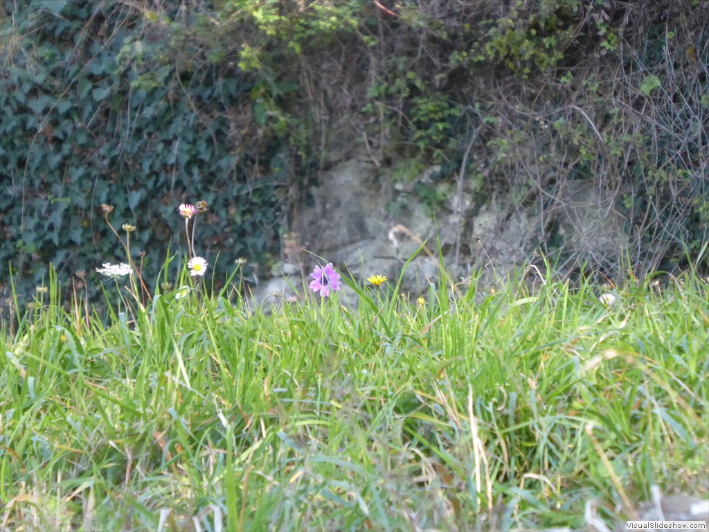 P1020468