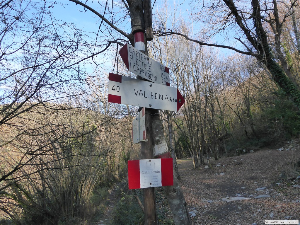 P1020476
