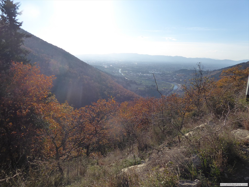 P1020492