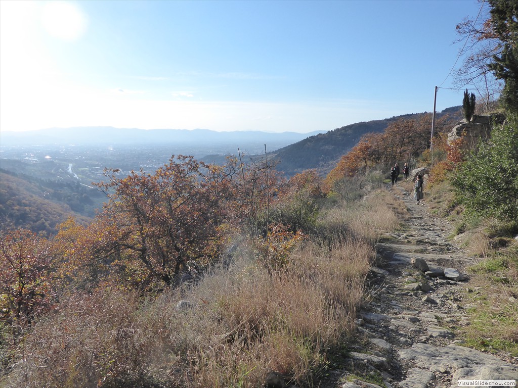 P1020493