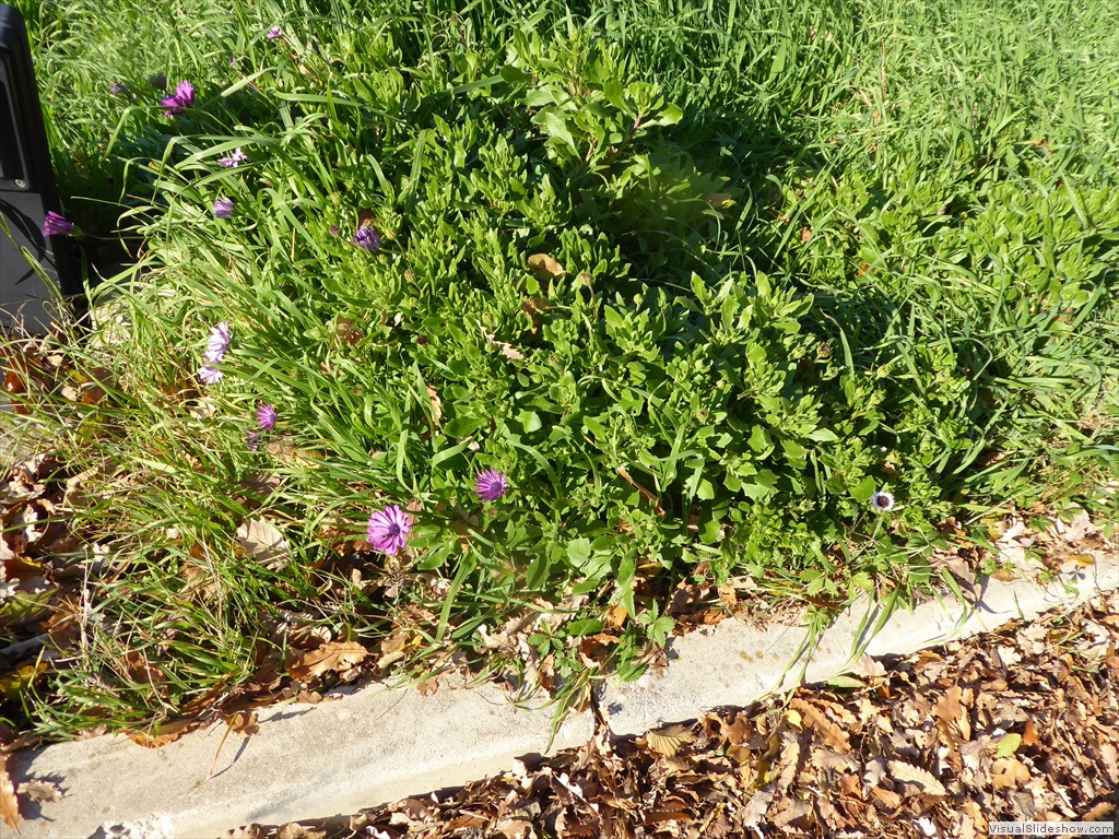 P1020495