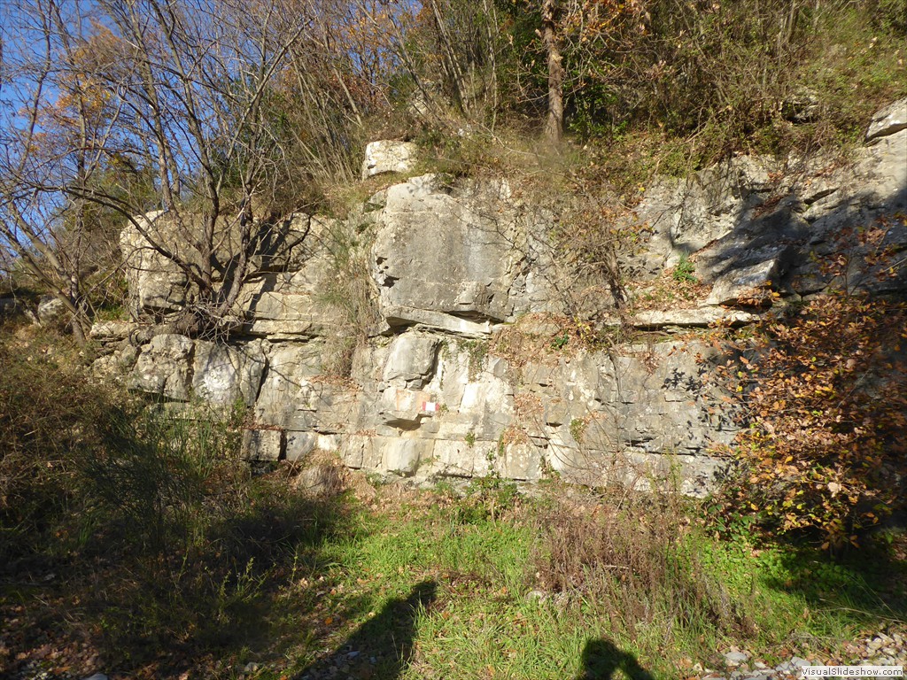 P1020497
