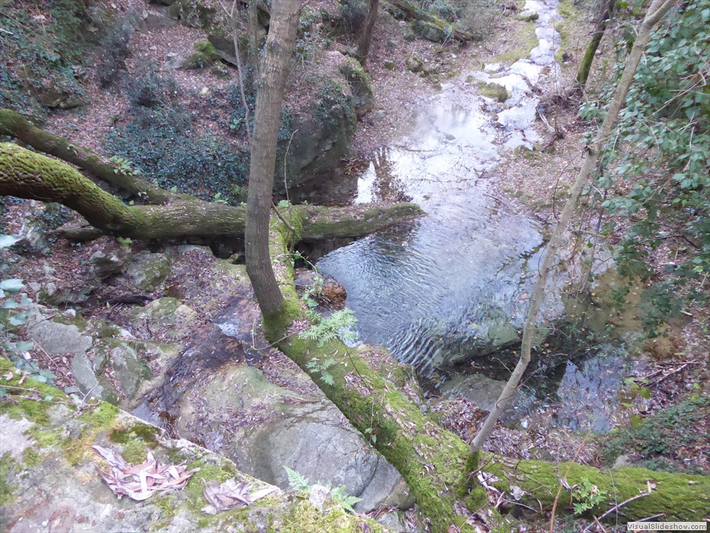 P1020500