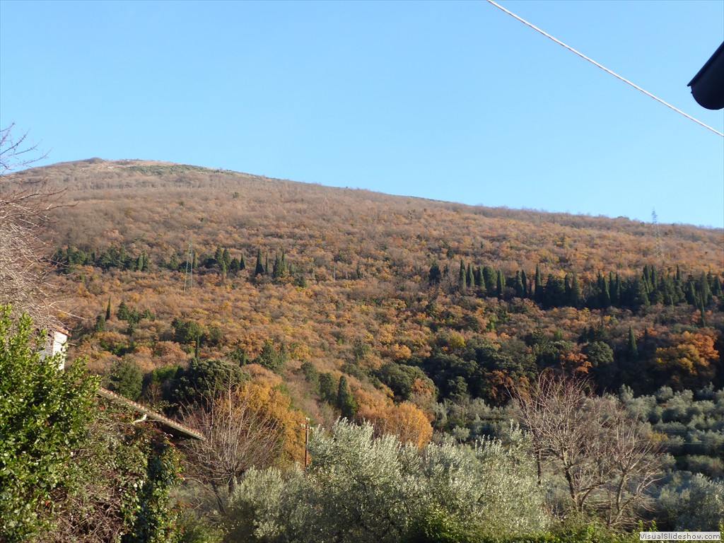 P1020508