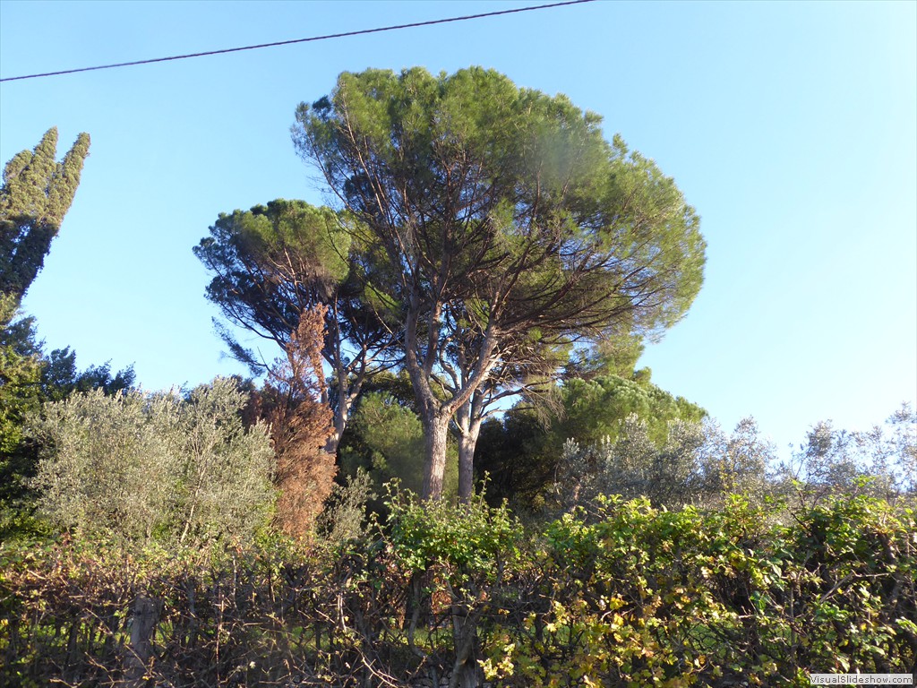 P1020510