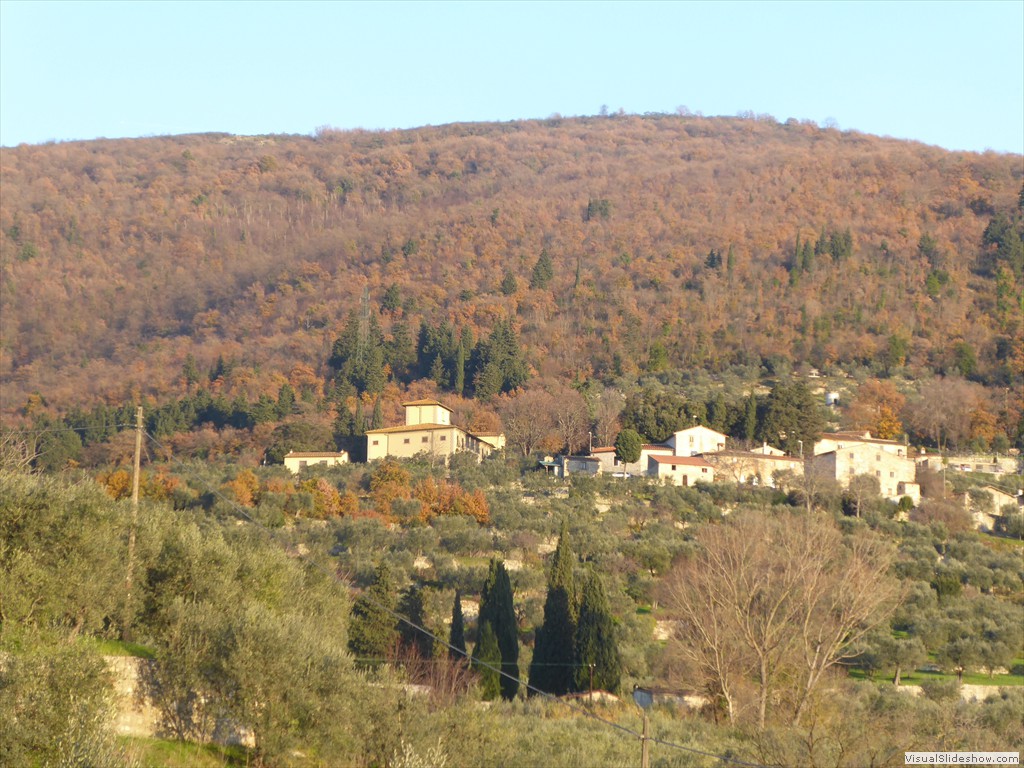 P1020517