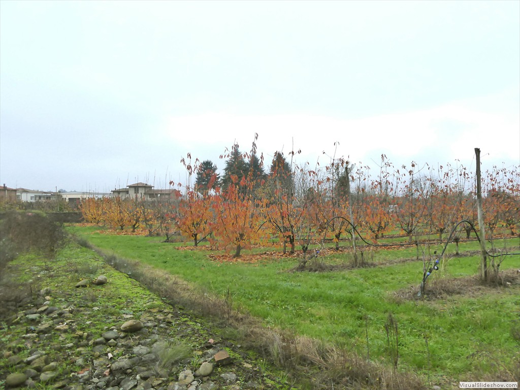 P1020096