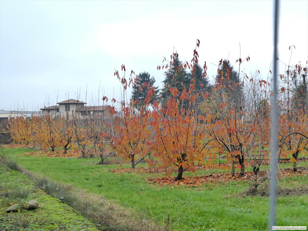 P1020097