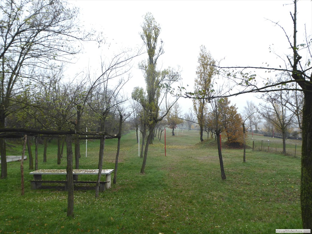 P1020103