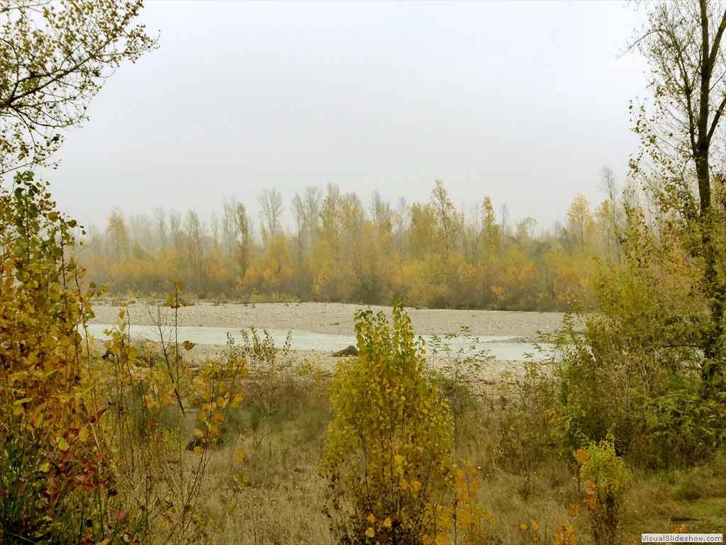 P1020105