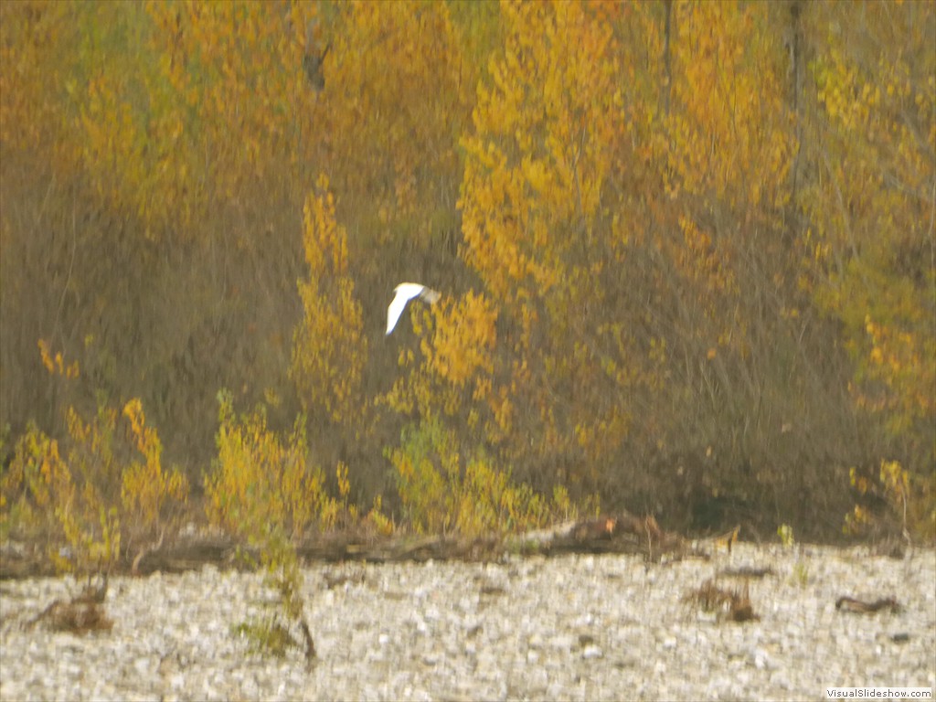 P1020107